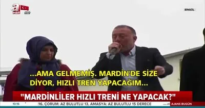 HDP’li Sezai Temelli’den skandal açıklama: Mardinli hızlı treni ne yapacak?