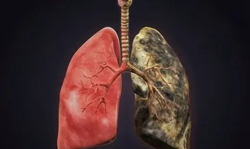 Nikotini dışarı atan süper gıda! Ciğerleri temizliyor