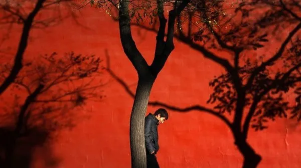 Dünyadan günün fotoğrafları (14 Kasım 2012)