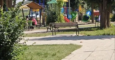 Nusaybin’de parkta budanan ağaçlar gölgesiz bıraktı! Vatandaşlardan tepki #mardin