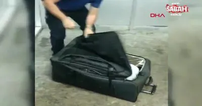 Artvin’de yurda girişi yasağı bulunan Özbek, valiz içinde Türkiye’ye girerken yakalandı