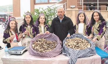 Festival sokağa taştı