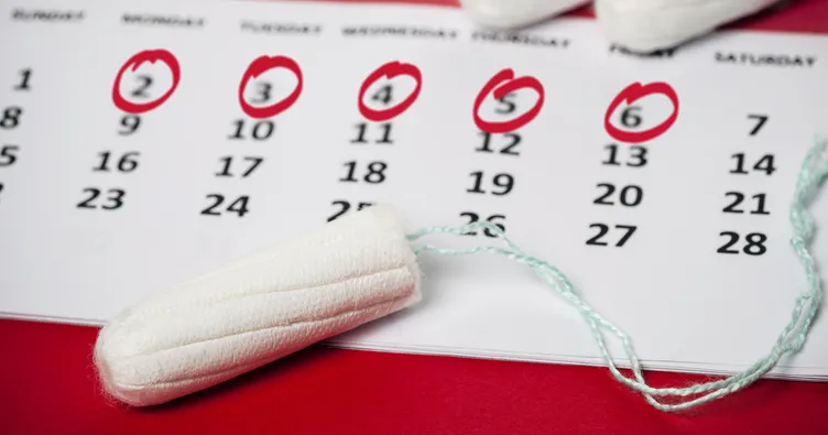 Adetten kaç gün sonra ve ne zaman hamile kalınır? Adetten hemen sonra hamile kalınır mı?