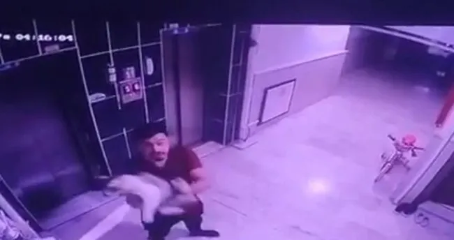 Hamile kediyi önce kameralara gösterdi ardından yere fırlattı