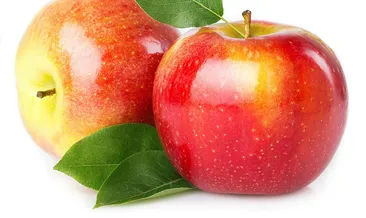 elma ile ilgili görsel sonucu