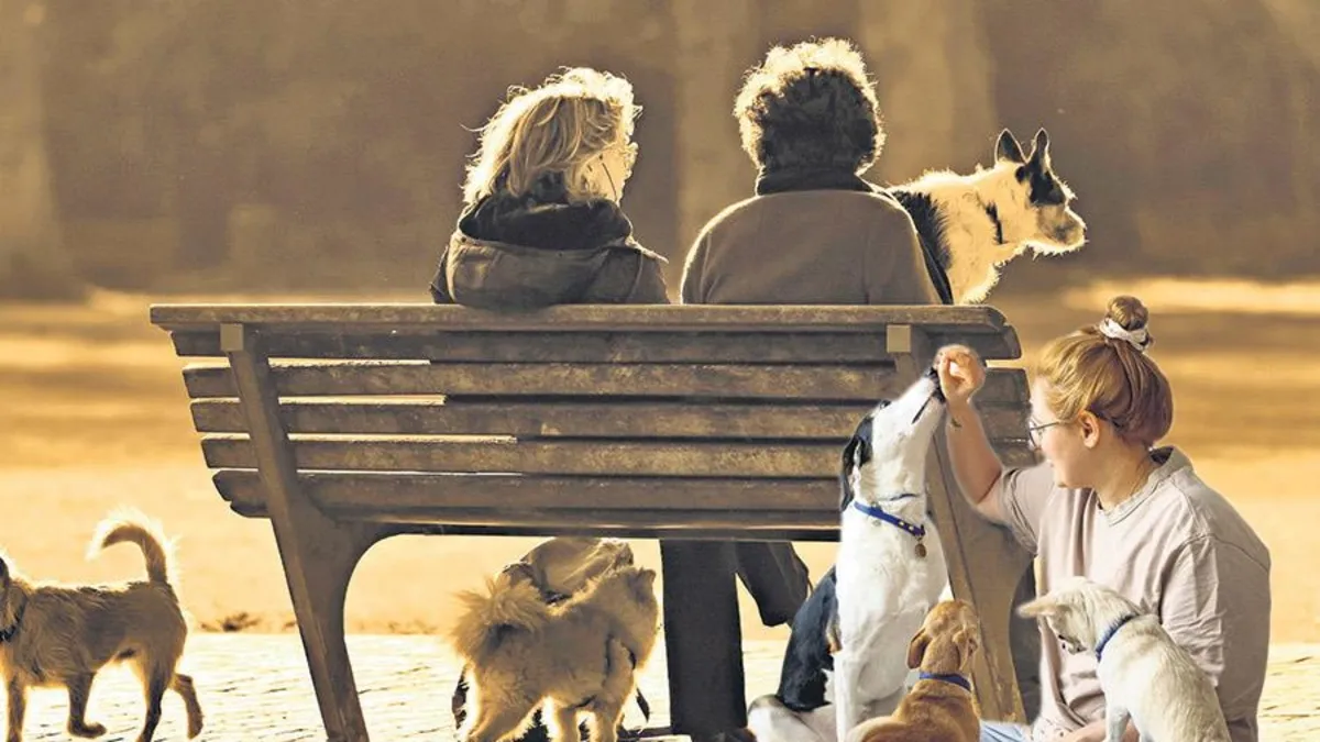 Çocuğun yerini köpek aldı