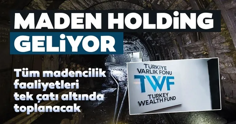 Maden Holding geliyor