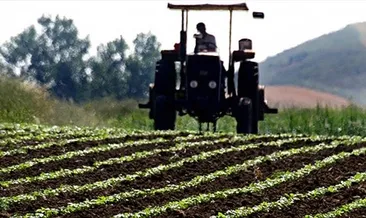 Tarım ÜFE ağustosta aylık bazda azaldı