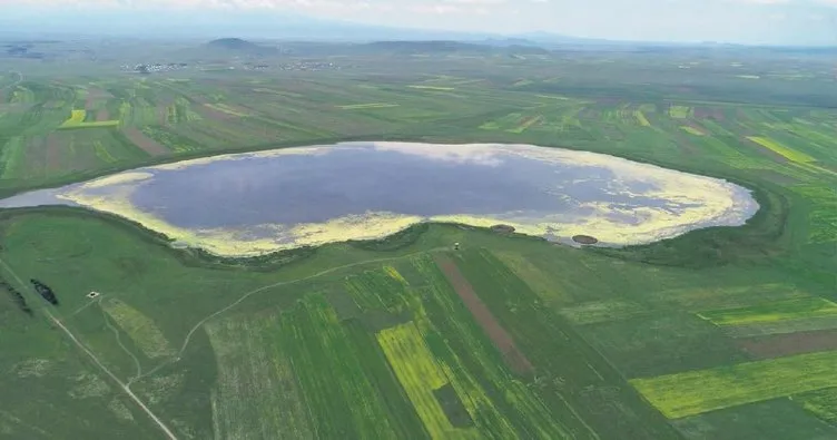 kus cenneti ne can suyu sayfa 4 son dakika haberler