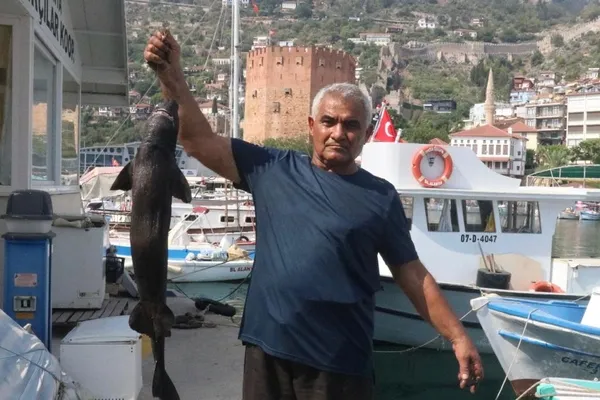 alanya-aciklarinda-nadir-kopekbaligi-turu-yakalandi-1692380293423.jpg