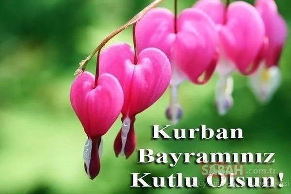 Resimli bayram mesajları burada: 2019 resimli Kurban Bayramı kutlama mesajları ve sözleri!