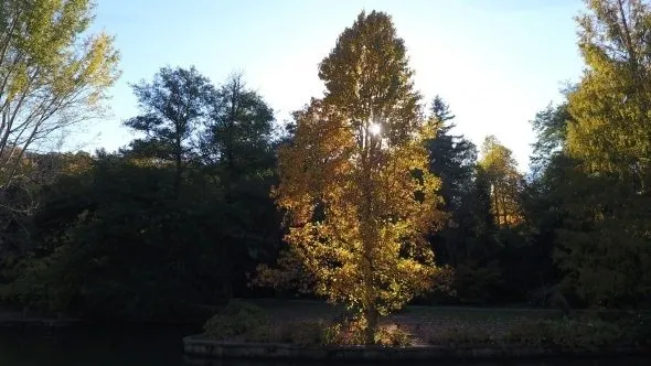 Atatürk Arboretumu’nda sonbahar manzaraları havadan görüntülendi.