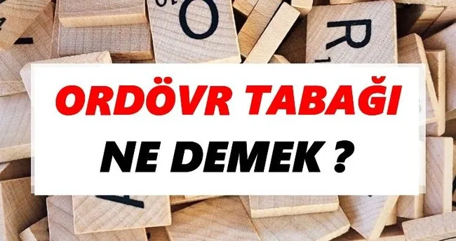 Ordövr tabağı Ne Demek? TDK’ya Göre Ordövr tabağı Sözlük Anlamı Nedir?