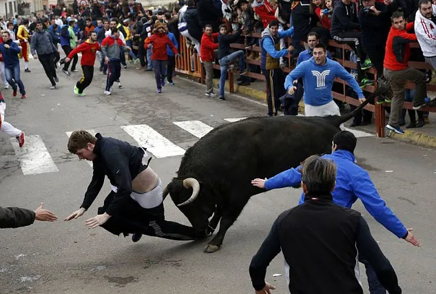 Boğa'nın gazabına uğradı
