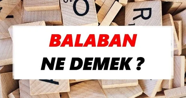 Balaban Ne Demek? TDK’ya Göre Balaban Sözlük Anlamı Nedir?
