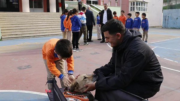 engelli-kopek-kivrik-hikayesiyle-cocuklarin-gonlune-dokunuyor-1763273582197.jpeg