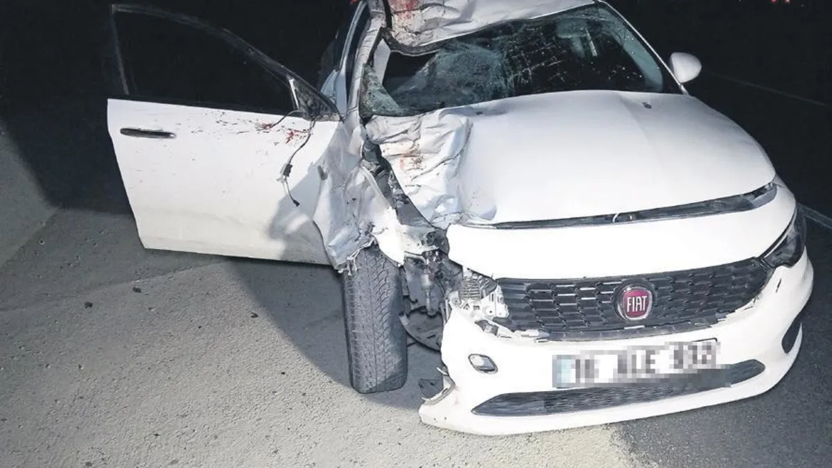 Kaçan 6 Arap tayı kazada telef oldu