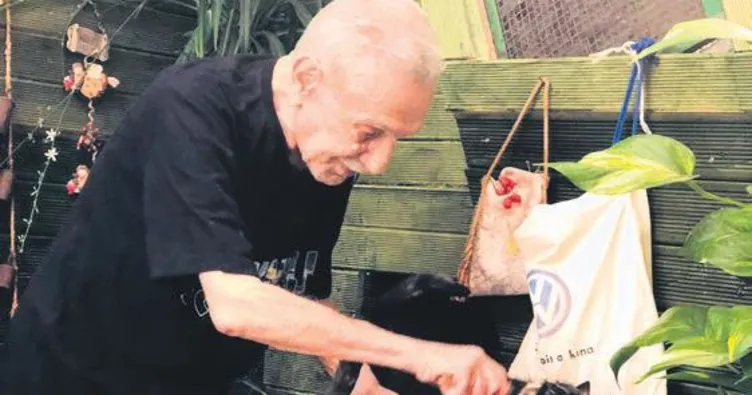 50 bin liraya kedilerine ev yaptırıyor