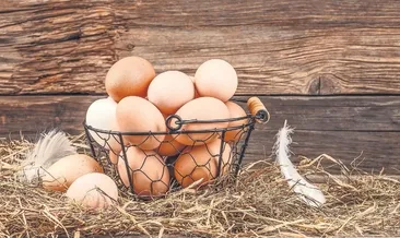 Ara sıra değil her zaman yumurta