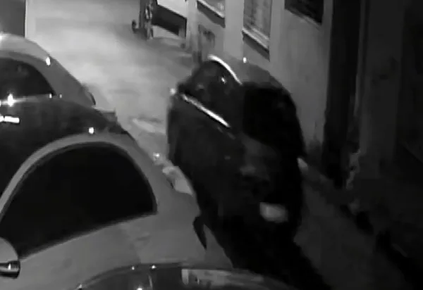 Otomobil hırsızlığı anı