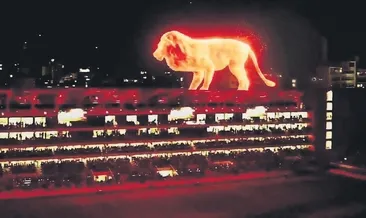 Arjantin usulü kutlama