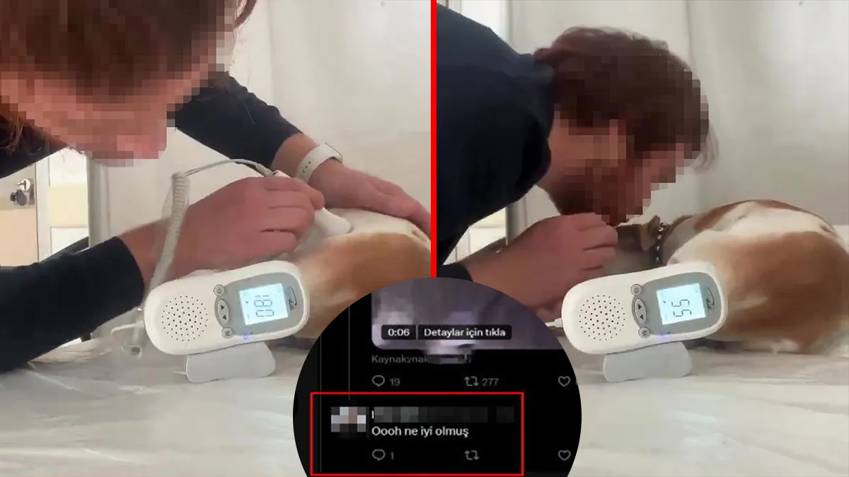 Aile sağlığı merkezindeki sedyede köpek tedavi etmişti! O doktorun paylaşımları pes dedirtti: Çocuk geberdi mi?
