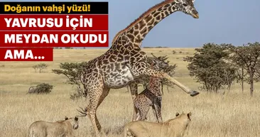 Yavrusu için direndi ama...