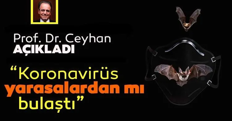 Son dakika haberi: Prof. Dr. Mehmet Ceyhan açıkladı! Corona virüsün yarasalardan bulaştığı iddiası doğru