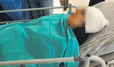 Sokak köpekleri dehşet saçtı