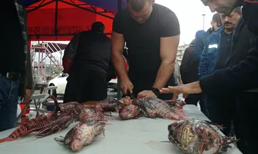 Eğer doğru temizleyebilirseniz…