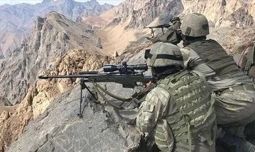 Van’da etkisiz hale getirilen 2 PKK’lı terörist fotokapanla tespit edilmiş