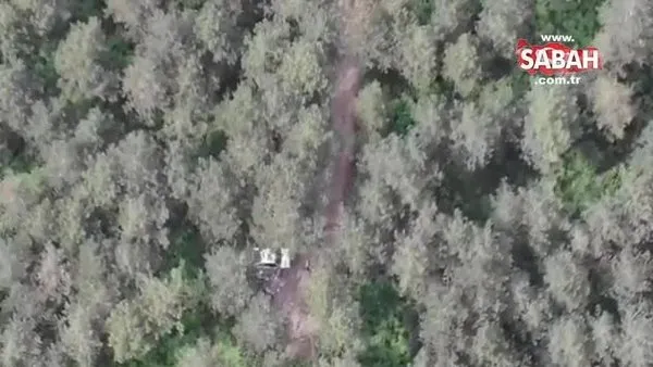 İstanbul'da ormanda 'drone'la böyle tespit edildi! Ulaşan ekipler... | Video
