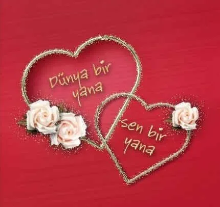 14 Şubat Sevgililer Günü mesajları! 2019 Kısa, Uzun, Anlamlı Sevgililer Günü kutlama mesajları ve sözleri