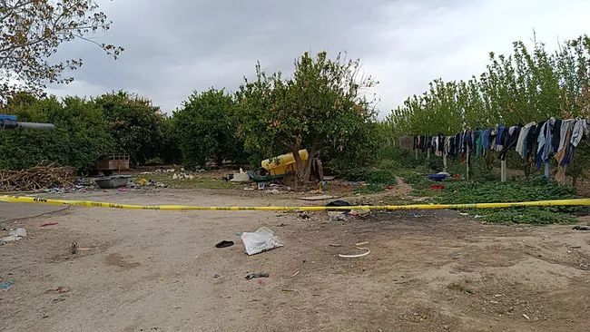 mehmet-kutluyu-portakal-bahcesinde-olduren-cani-yakalandi-cinayeti-8-bin-lira-icin-islemis-1744701333909.jpeg