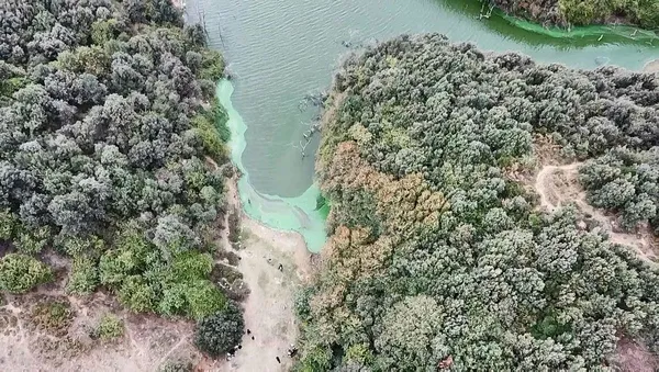 Açıklamayı İSKİ yaptı! İstanbul'un barajlarında doluluk oranı belli oldu