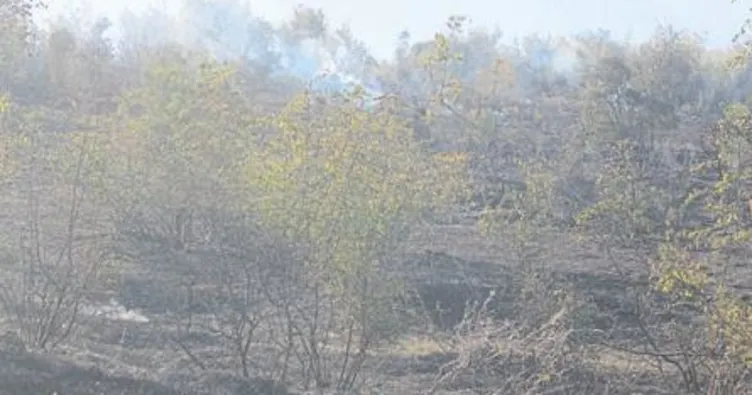 Otları yakarken makilik alan yandı