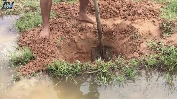 Birbirinden ilginç balık avlama yöntemleri