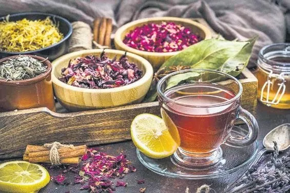 Şifalı bitki çayları – İDİL AÇIKALIN Şifalı bitki çayları – İDİL AÇIKALIN