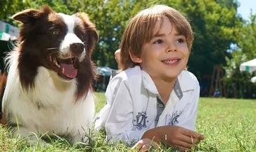 Ataberk Mutlu Kimdir ?