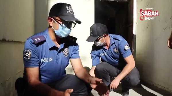 Erzincan'da karakolda doğum yapan kedi ve yavrularına polislerden şefkat eli | Video