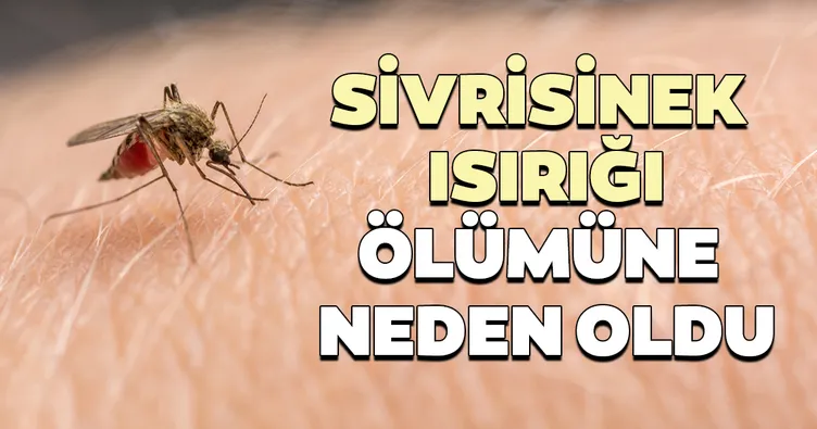 Sivrisinek ısırığı ölümüne neden oldu