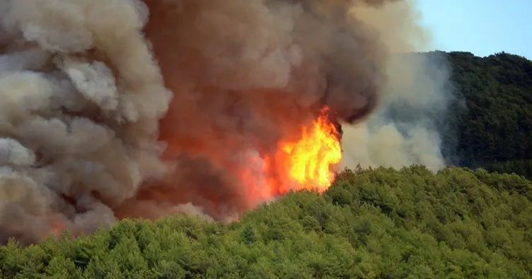 Orman yangınlarına ‘güvenli bölge’ önlemi