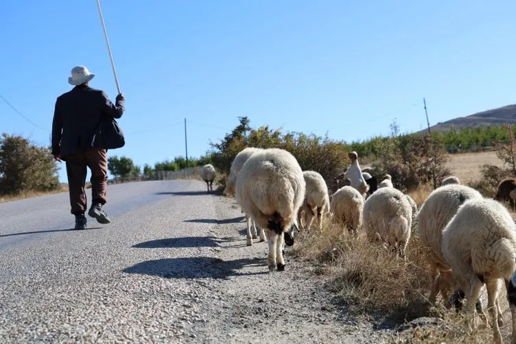 Bu işi yapana 70 bin TL maaş ve 30 GB internet: Yine de eleman bulunamıyor!