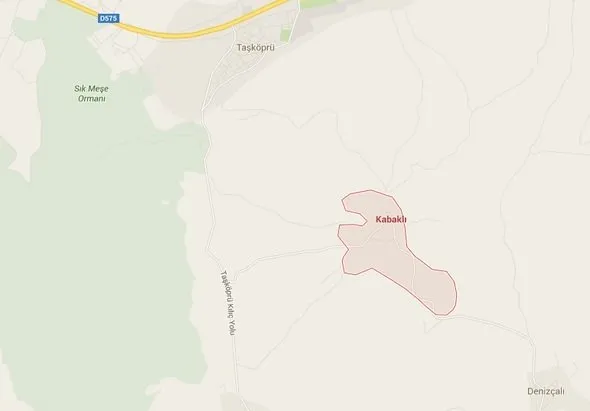 Otoyolların değer kattığı araziler!