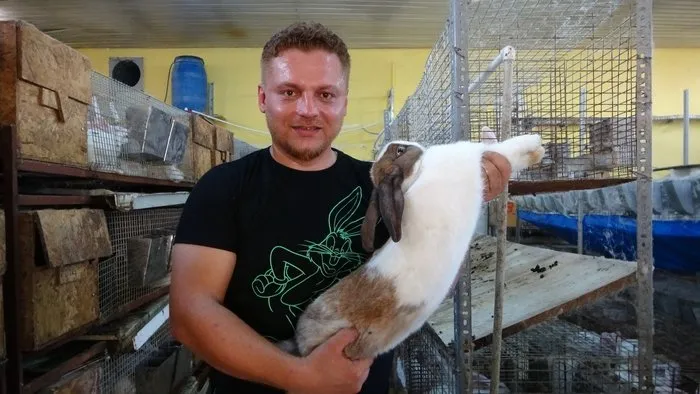 Öğretmenliği bıraktı tavşan çiftliği kurdu