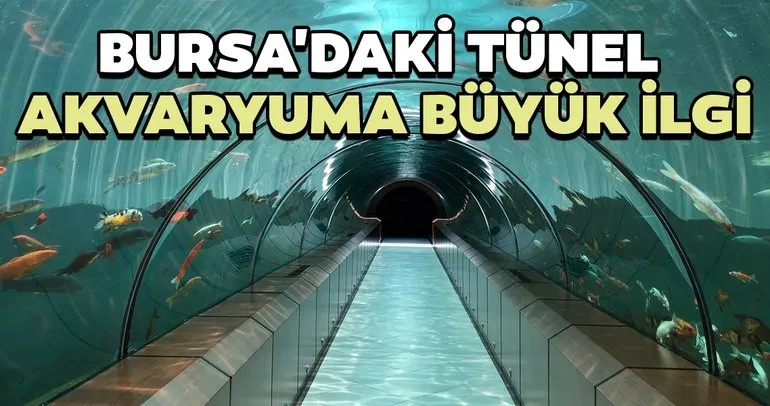 Bursa’daki tünel akvaryuma ilgi