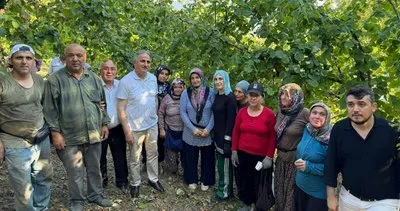 AK Parti Milletvekili Bozkurt, Hüseyinli köyünde fındık toplayan işçileri ziyaret etti #zonguldak