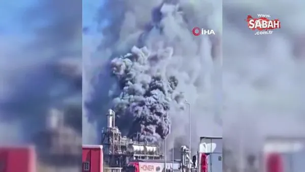 Fransa'da yağlı tohum işleme tesisinde patlama | Video