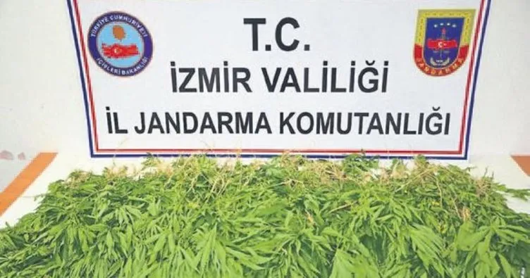 İzmir’de dev uyuşturucu operasyonu