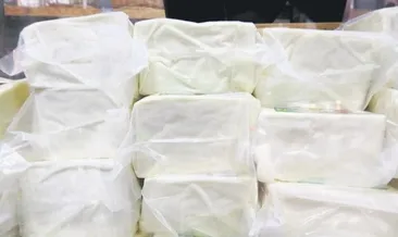 Ezine peynirine AB tescili